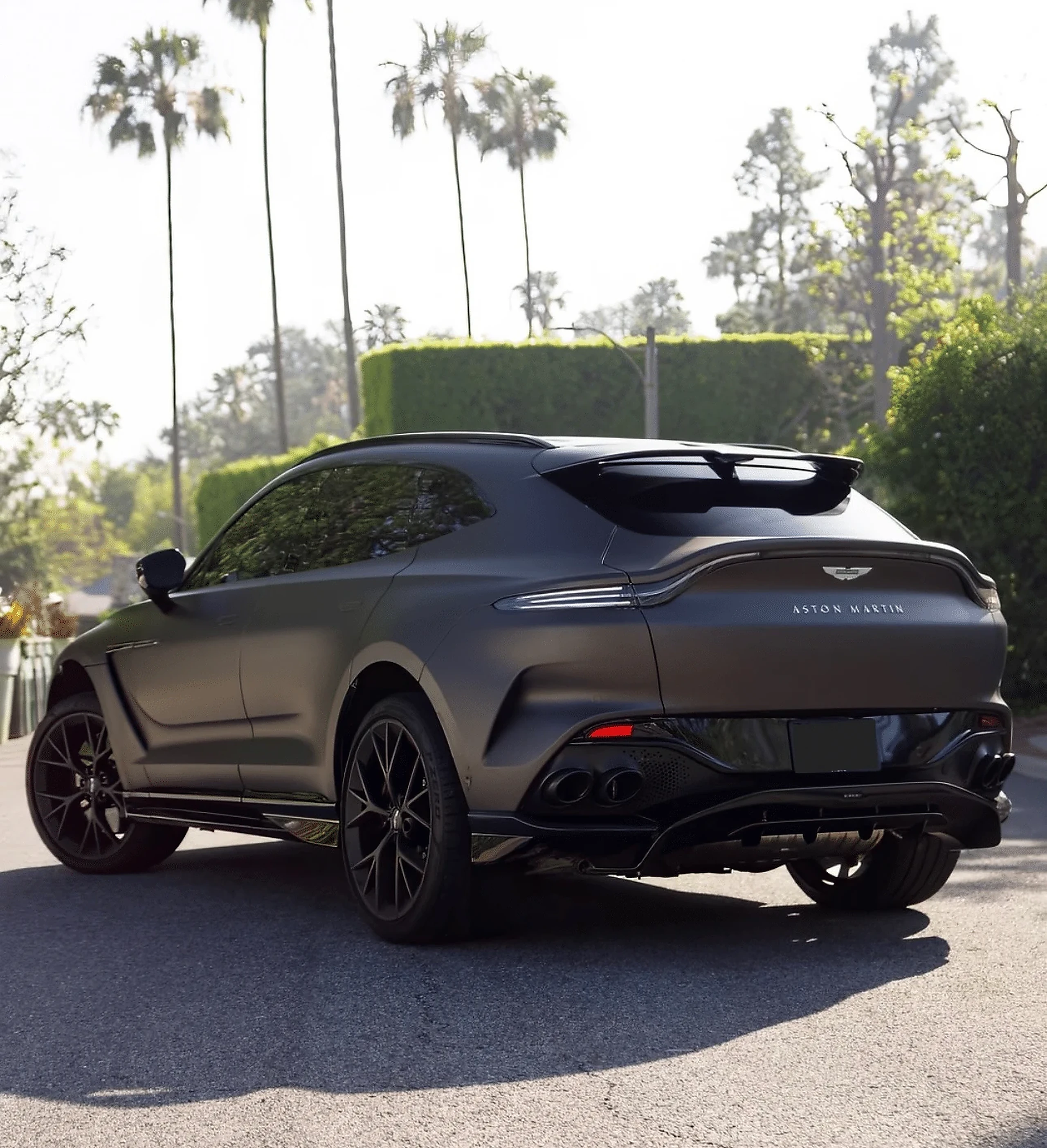 Aston Martin DBX 707 detail relevant to performance suv rentals on MIAMI RENT LUXURY